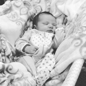 Meet your Posher, Joe